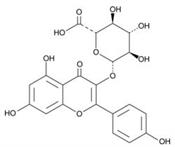 Kinase, Receptor, Glycoside, Antioxidant Kaempferol 3-glucuronide Biochemical for Research